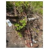 Bush Hog 3pt. Rotary Tiller RTS50