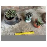 Flower Pots & Vintage Water Kettle