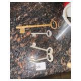 Brass Skeleton Key + Misc Keys