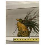 Mallard Duck Pitcher Arrangement