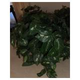 (3) Greenery Arrangements (NO DUST)