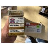 12 Ga Buckshot (22 Rounds)