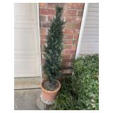 Pr of Topiaries w/ Clay Pots