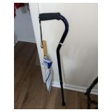 Umbrellas & Aluminum Cane