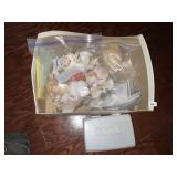 Seashell Collection