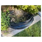 Pro Grade 100' Garden Hose (Good one)