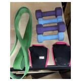Ankle Weights + Purple/Blue Dumbell Weights