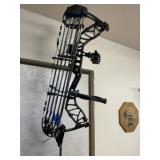 Nice Bear Carbon Compound Bow &  Arrows