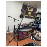Stage Mic Stand