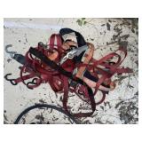 Ratchet Tie Downs in Group