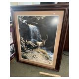 Nice Framed Bull Elk Print