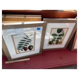 (2) Decorator Pictures