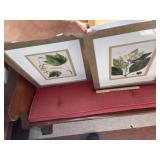(2) Decorator Pictures
