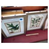 (2) Decorator Pictures
