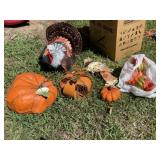 Pumpkins ~ Turkey & Fall Decor