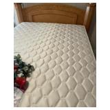 Queen Size Sealy Bedding Set (Looks like new)