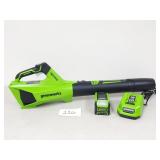 $170 Greenworks 40V Cordless Leaf Blower (No Ship)
