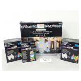 Christmas Lights and Snowflake (No Ship)