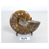 Polished Ammonite Fossil Specimen - 13.1oz