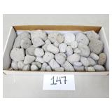 Raw / Natural Pumice Stone Lot