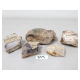 Petrified Wood Lot