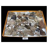 Petrified Wood, Rocks