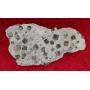 TURQUOISE ROCKS MINERALS FOSSILS ART SCIENCE ARTIFACTS