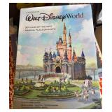 Walt Disney World by Steve Vagnini