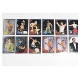 (12) 2010 Topps WWE Silver Parallel Lot /999