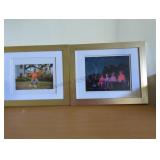 Two Framed Photographes
