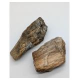 2 PCS. PETRIFIED WOOD
