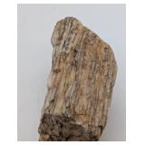 PETRIFIED WOOD 5" X 3"