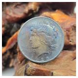 1923 Silver Peace Dollar