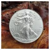 2013 Silver Eagle
