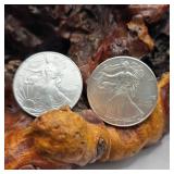 Two Silver Eagles