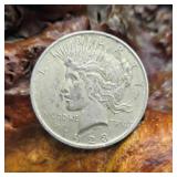 1923 Silver Peace Dollar