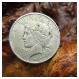 1923 Silver Peace Dollar