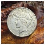 1923 Silver Peace Dollar