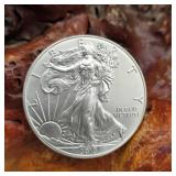 2013 Silver Eagle