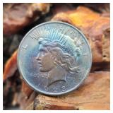 1923 Silver Peace Dollar