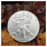 2013 American Silver Eagle