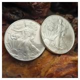 Pair of 2010 Silver Eagles