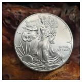 2012 Silver Eagle
