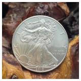 2010 Silver Eagle