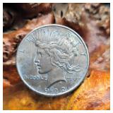 1922 Silver Peace Dollar