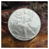 2010 Silver Eagle