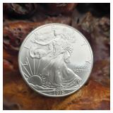2010 Silver Eagle