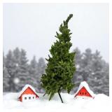 5 Foot Christmas Tree No Box