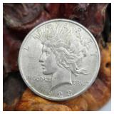 1923 Silver Peace Dollar