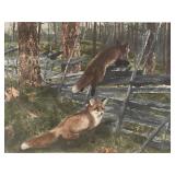 THE ESCAPE FOXES HAND COLORED ENGRAVING